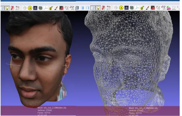Figure 10: (a) and (b) Successful 3D reconstruction following compression by our approach