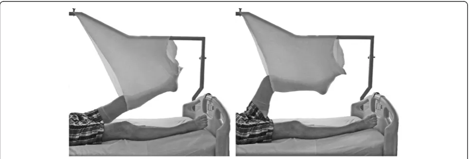 Figure 1 Sling exercise training.