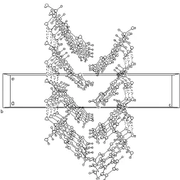 Figure 2The molecular packing of compound (I), viewed along the b axis.