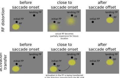 Figure 4.1: upper panels, neuron showing a predictive remapping behaviour, during the perisccadic interval it becomes sensitive for location that will be brought into the receptive filed only after saccade completion