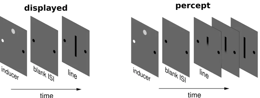 Figure 7.1: typical trial sequence for line motion illusion presentation (leftward panel) and percept (rightward panel)