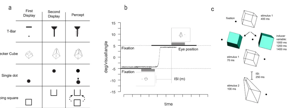 Figure 1.2: (a) Example of the stimuli adopted in Experiment 1;  During the experiment, the direction of motion was varied randomly on each trial
