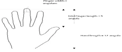 Figure 1: Computation of Middle finger length 