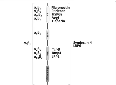 Figure 1 Schematic representation of the CCN family structure.The figure shows the current nomenclature (CCN family) and themost used name along the last years