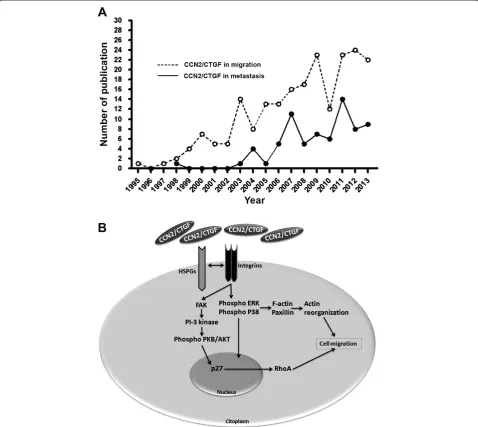 Figure 3 Impact of CCN2/CTGF research in cancer metastasis. (A) Evaluation number of articles published per year that studied the role ofCCN2/CTGF on cell migration and metastasis (B) Cell migration and adhesion modulated by CCN2/CTGF