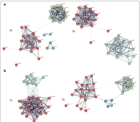 Fig. 5 Enriched PPA networks created from the risk genes highlighted from previous analyses for a B1 and B2 CD sub-phenotypes and b E1 and E3 UC sub-phenotypes