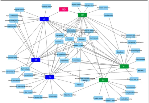 Fig. 7 Disease–Disease association network based on molecular background commonalities