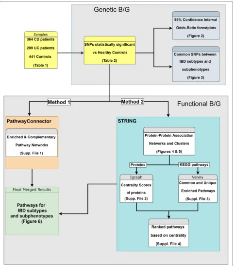 Fig. 1 Flow chart showcasing the experimental methodology and study design