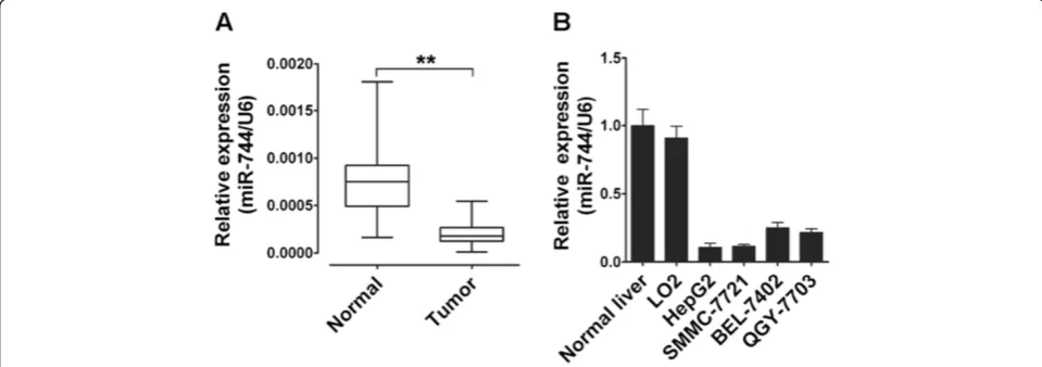 Figure 1 miR-744 is down-regulated in HCC samples and HCC cell lines. (A) Expression of miR-744 was measured in 40 HCC samples andnormal liver tissues by qRT-PCR, and the expression levels of miR-744 were normalized to U6 RNA expression for subsequent anal