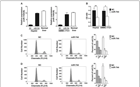 Figure 2 MiR-744 restoration inhibit the viability of HCC cells. (A) miR-744 expression was quantified by qRT-PCR analysis