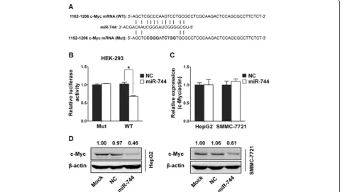 Figure 3 miR-744 directly targets and regulates c-Myc expression in HCC cells. (A) Wild-type (WT) and mutant (Mut) of putative miR-744targeting sequences in c-Myc mRNA