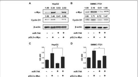 Figure 5 miR-744 inhibits c-Myc-dependent activity and cell proliferation in HCC cells