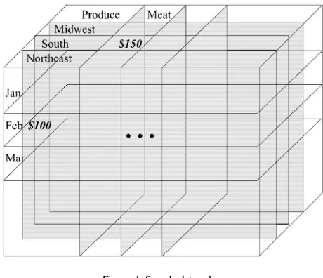 Figure. 1. Sample data cube. 