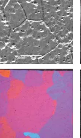 Fig 4e shows die-line-remains on the anodized extrusion. Another reason for the formation of surface-defect-remains is due to intemetallic particles 4,10 