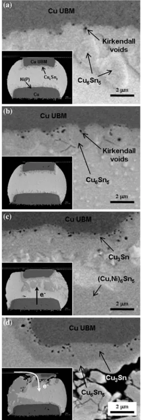 Fig. 11 Electromigration (EM) damage evolution in the anode joint with Cu under-bump-metallization (UBM)