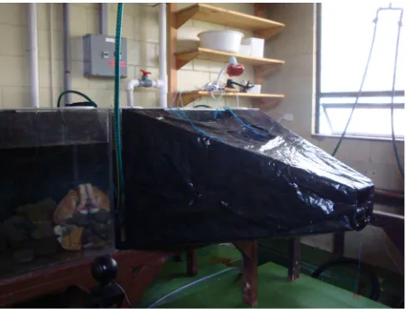 Fig. 2.1: Trapezoid viewing shields were attached to aquaria allowing web-cameras to be mounted for 