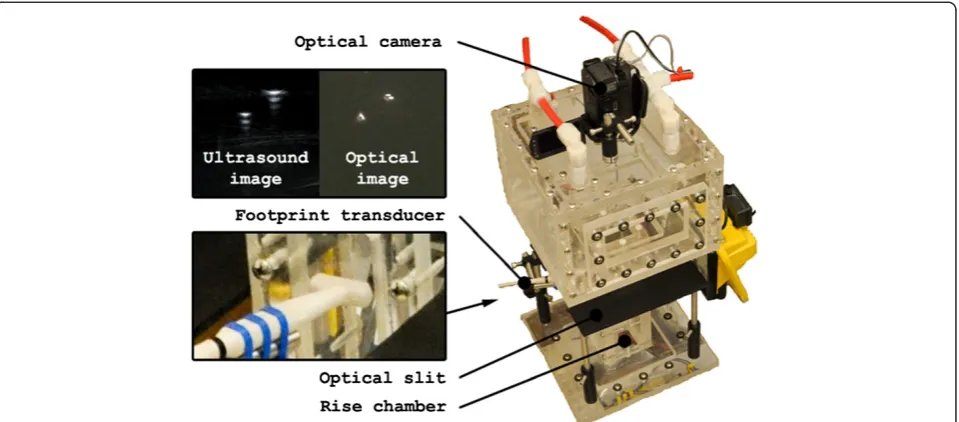 Figure 4 Experimental setup for in vitro validation. Experimental rig (right) highlighting optical and ultrasound images (top left) and footprinttransducer attachment (bottom left).