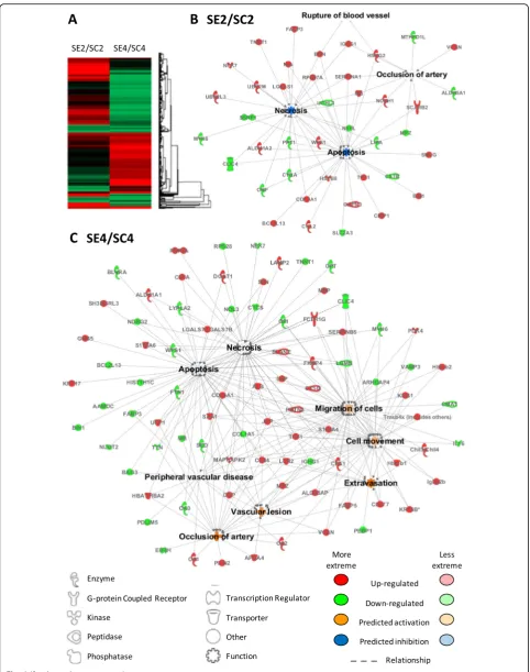 Fig. 4 (See legend on next page.)