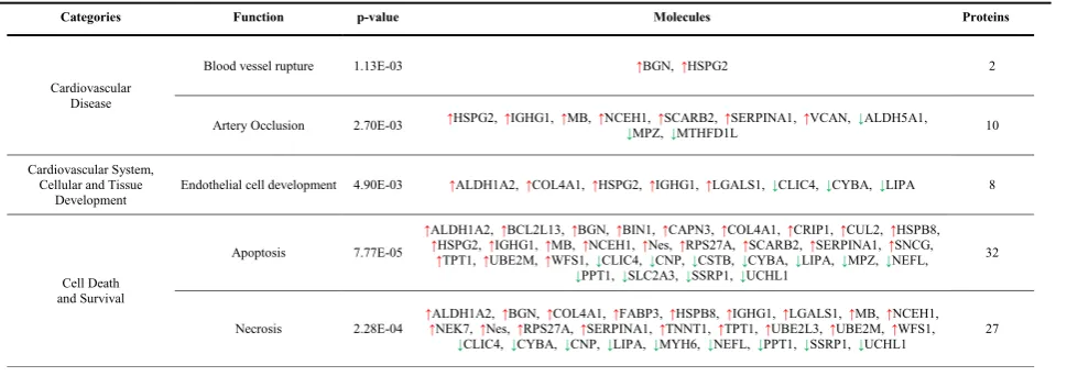 Table 1 Functional classification of differentially expressed proteins in CAC-treated mice (SE) vs ischemic non-treated mice (SC) onday 2 after femoral ligation