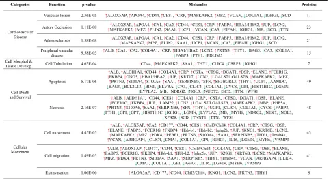 Table 2 Functional classification of differentially expressed proteins in CAC-treated mice (SE) vs ischemic non-treated mice (SC) onday 4 after femoral ligation
