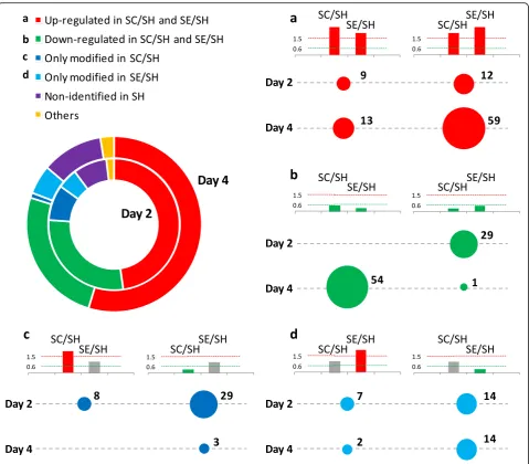 Fig. 5 Differential protein expression patterns in CAC-treated mice and non-treated mice compared to shams