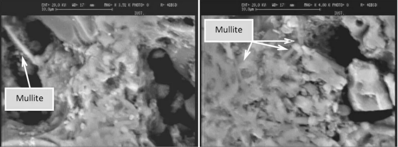 Fig. 4. Microstructure of MS3-NS3 sample showing well-growth mullite crystals