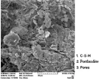 Figure 7. ITZ of Mix 1 (basic mixture without silica nano-particles) 