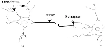 Figure 1. Components of a neuron. 