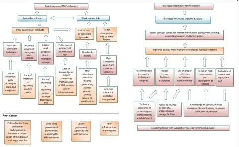 Figure 3 Problem tree for MAP value chain.