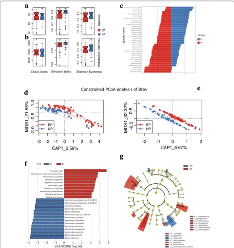 Fig. 1 Microbiome and metagenomics diversity and LEfSe analysis. a, b Alfa-diversities of microbiome composition and functional capacities between EP (red) and NP (blue) groups