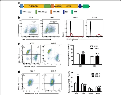 Fig. 1 Generation of anti-FLT3 CAR. a Schematic diagram of anti-FLT3 CAR structure containing CD8α leader, FLT3L-BD, CD8α hinge and transmembranedomains, and intracellular tandem with 4-1BB and CD3ζ signaling domain; GFP was separated with T2A