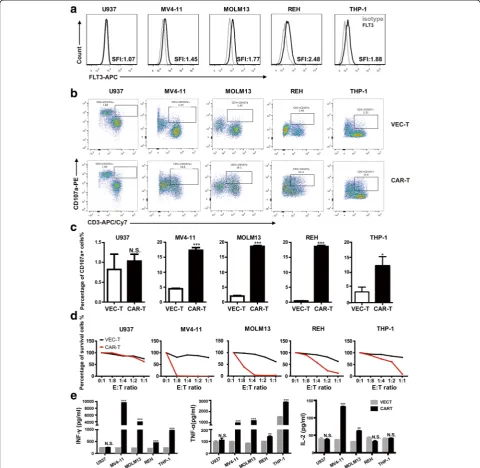 Fig. 2 FLT3L CAR-T cells exhibited antigen-specific cytotoxicity against FLT3+ leukemia cells