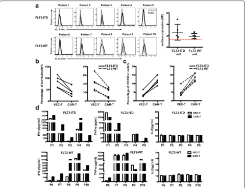 Fig. 3 FLT3L CAR-T cells showed specific cytotoxic ability against FLT3 positive primary AML