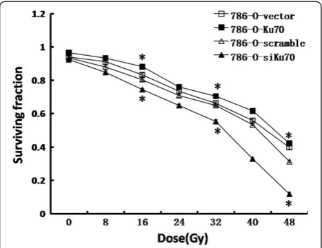 Figure 3 Response of 786-O-vector, 786-O-Ku70, 786-O-scrambleand 786-O-siKu70 cells to γ radiation