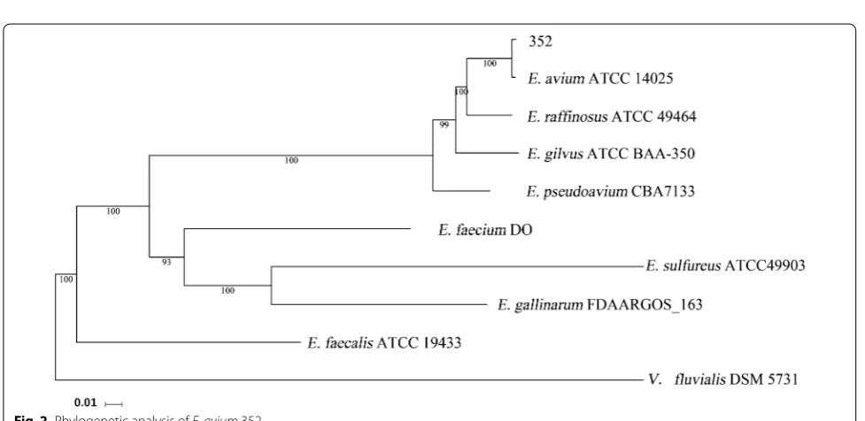 Fig. 1 Genome map of E. avium 352. Circles from the outside to inside showing: (1) DNA coordinates; (2, 3) function-based color-coded mapping of the CDSs predicted on the forward and reverse strands