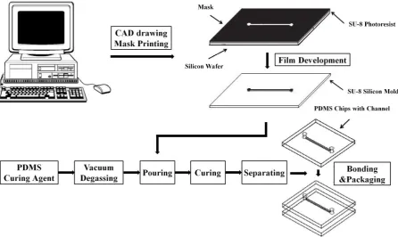 Fig. 1 Manufacturing process of PDMS experimental sample.  