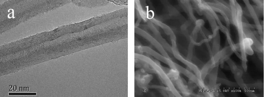 Fig. 1. Microscopic photograph of the MWCNTs by (a) TEM and (b) SEM .  