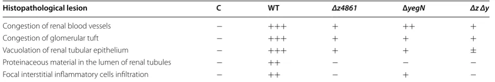 Table 1 Evaluation of histopathological lesions caused by wild-type and mutant strains