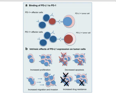 Fig. 2 Intrinsic and extrinsic effects of PD-L1 expression on tumor cells. a PD-L1 can bind to PD-1 expressed on immune effector cells