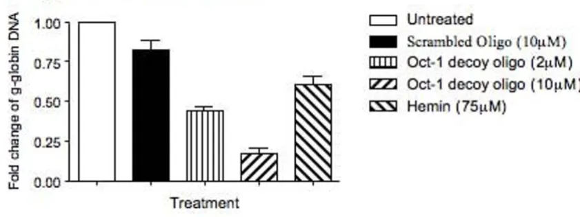 Figure 4γglobin gene at the -350 to -330 and +50 to + 30 region sequences respectively was used in the qPCR study