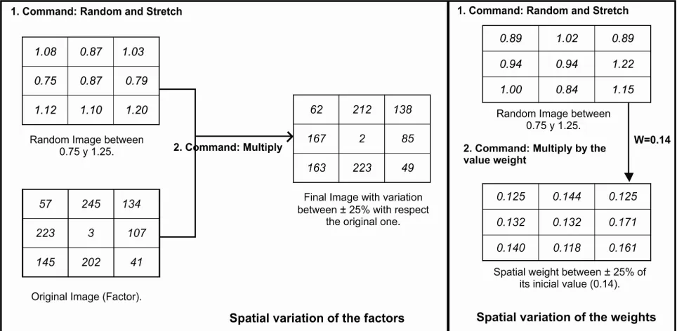 Figure 3. Process to obtain the variation on the spatial factors (left) and weights (right)