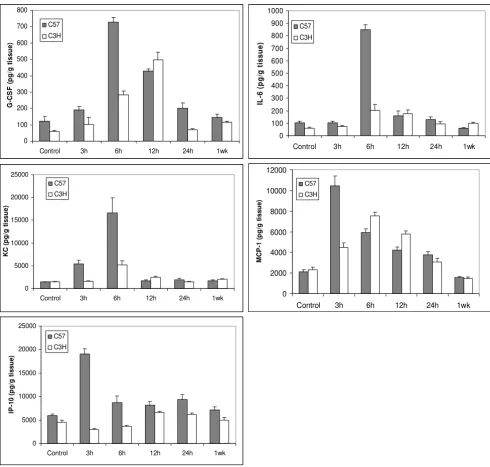 Figure 1Mouse lung tissue cytokine levels in C57BL/6 (C57) and C3H miceMouse lung tissue cytokine levels in C57BL/6 (C57) and C3H mice