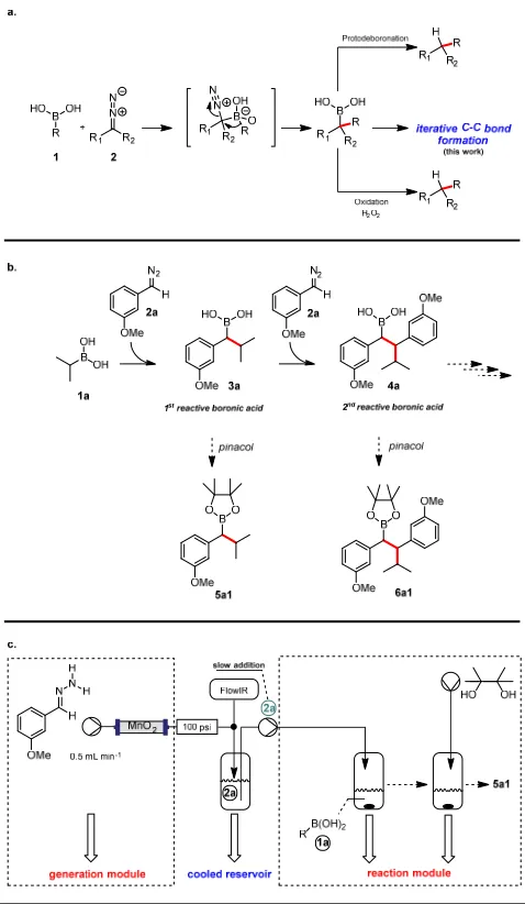 Figure 1|Prior work on boronic acids-diazo coupling and development of an iterative reaction strategy
