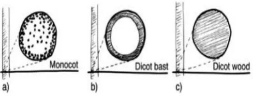 Figure 2.3: Schematic Drawing Showing Possible Locations of Fibres Within 