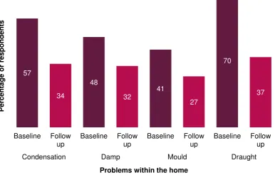 Figure 5.2: Problems within the home identified by Warm at Home clients 
