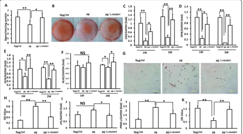 Fig. 2 The balance of oral pathogenic bacteria and probiotics restored the functions of GMSCs.extracts treatment, and GAPDH was used as an internal control.transcription factors PPAR-used to test statistical significance