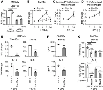 Figure 3. Malat1 regulates the expression of C-type lectin domain family 16, member A (Clec16a), which is required for the proinflammatory activation of macrophages