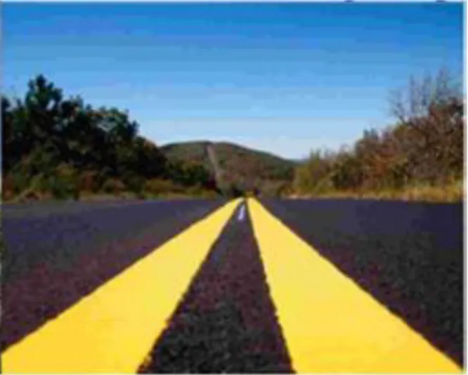 Figure 1.2 Pavement Marking Asset [16] 