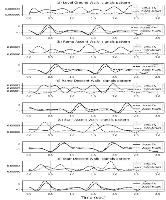 Figure 2 EMG and acceleration signals pattern for all terrains 