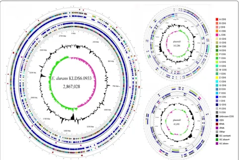 Fig. 1 Circular genome map of Enterococcus durans KLDS6.0933. From periphery to center: tRNA; Protein coding genes (CDSs) on forward strand colored according to the assigned COG classes; Genes on forward strand; rRNA; Genes on reverse strand; CDSs on reverse strand colored according to the assigned COG classes; Genome position in kbp; GC content; GC skew (G − C)/(G + C)